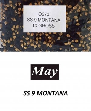 SS 9 MONTANA