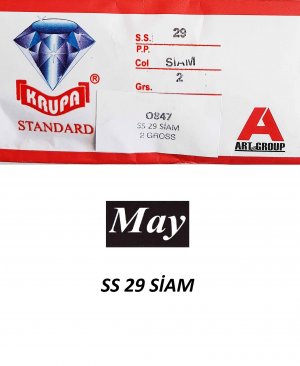 SS 29 SİAM