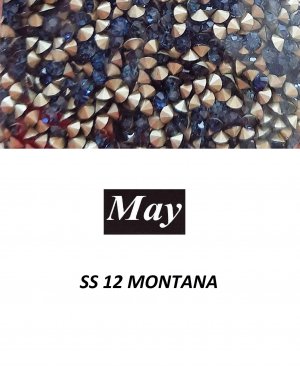 SS 12 MONTANA