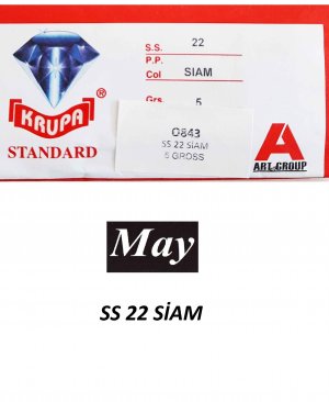 SS 22 SİAM