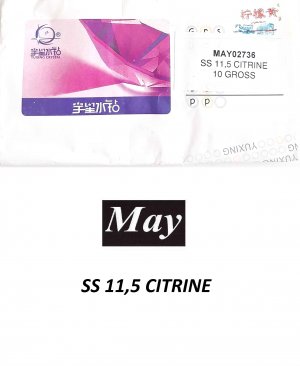 SS 11,5 CITRINE