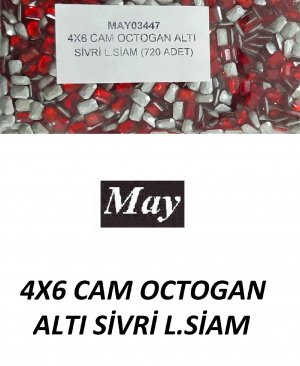 04X06 CAM OCTOGAN ALTI SİVRİ L.SİAM