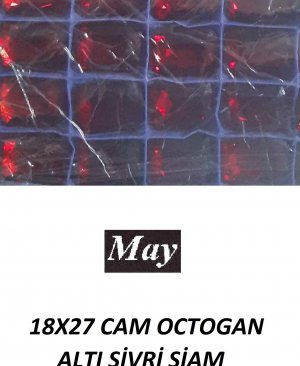 18X27 CAM OCTOGAN ALTI SİVRİ SİAM