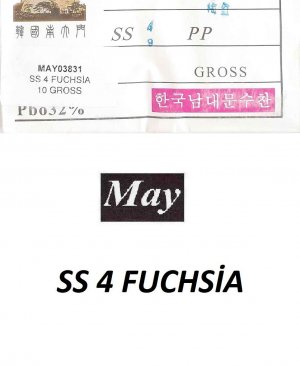 SS 4 FUCHSİA